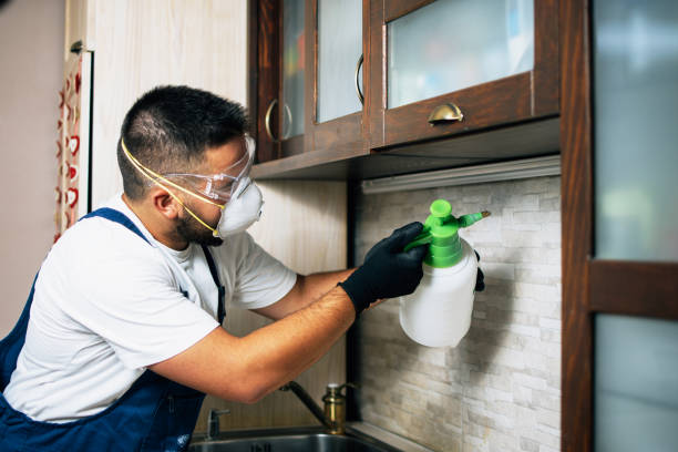 Best Pest Control Treatment  in Cutlerville, MI