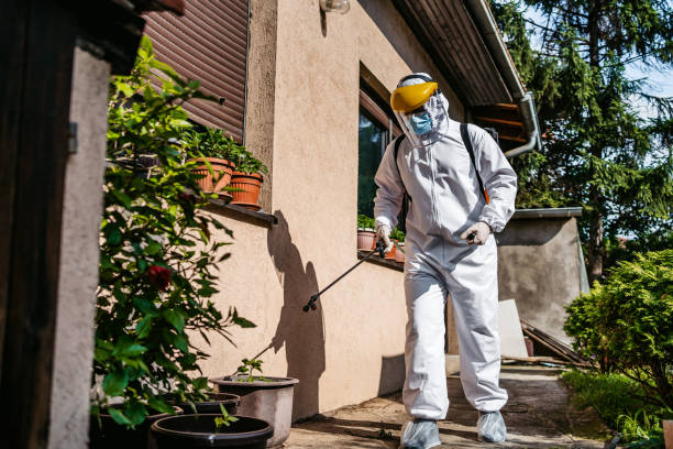 Best Rodent Control Near Me  in Cutlerville, MI