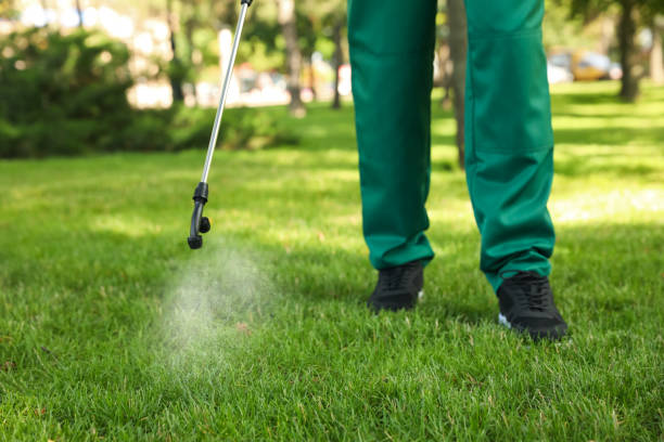Best Exterminator Services  in Cutlerville, MI