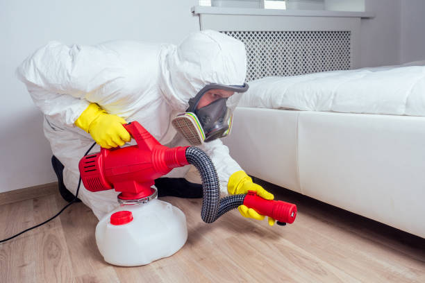 Best Affordable Pest Control Services  in Cutlerville, MI