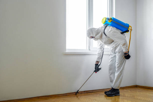 Best Wasp Removal Services  in Cutlerville, MI