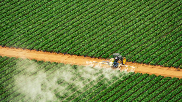 Best Pest Removal Services  in Cutlerville, MI