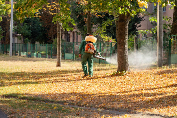 Best Pest Removal Services  in Cutlerville, MI